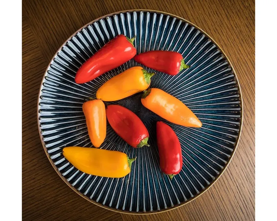 Aiya Navy 8-3/4" Plate
